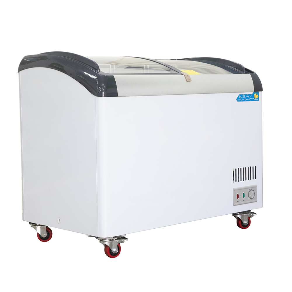 Commercial Chest Freezer - CE Approved Curved Glass Commercial Freezer
