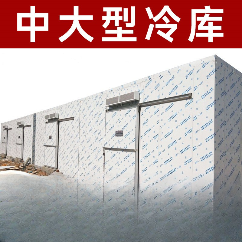 A full set of equipment for me - Commercial Chest Freezer 评论和价格